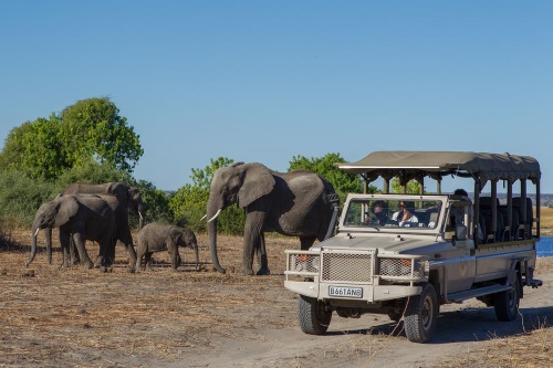 Chobe Game Lodge gamedrive